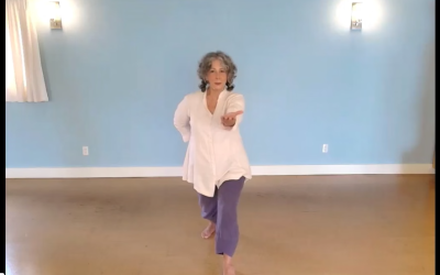 Video Training: Infinity Qi-Gong For Strength & Flexibility